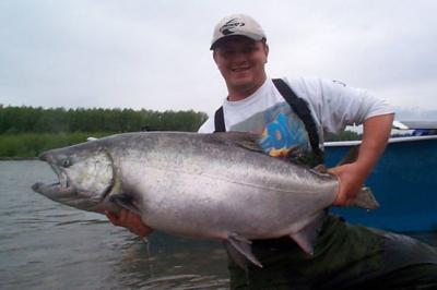 The photo of the week shows a BIG Chinook (King) Salmon landed on the Kitimat River in June, a few years ago, by angling guide Greg Buck.  I have known Greg since he was a toddler fishing with his dad Bill at the Lakelse River Bridge. Greg has been a guid